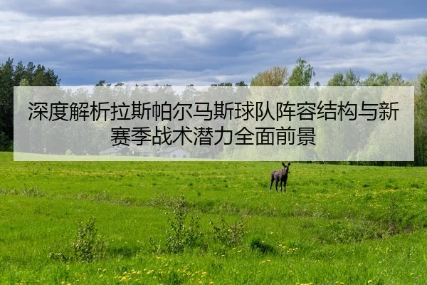 shen-du-jie-xi-la-si-pa-er-ma-si-qiu-dui-zhen-rong-jie-gou-yu-xin-sai-ji-zhan-shu-qian-li-quan-mian-qian-jing-2-558.jpg